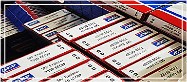 沈阳中瑞斯凯孚轴承有限公司